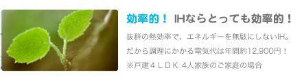 抜群の熱効率で、エネルギーを無駄にしないIH。
               だから調理にかかる電気代は年間約12,900円！※戸建４ＬＤＫ 4人家族のご家庭の場合