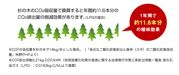 杉の木のCO2吸収量で換算すると年間約11.6本分のCO2排出量の削減効果があります。